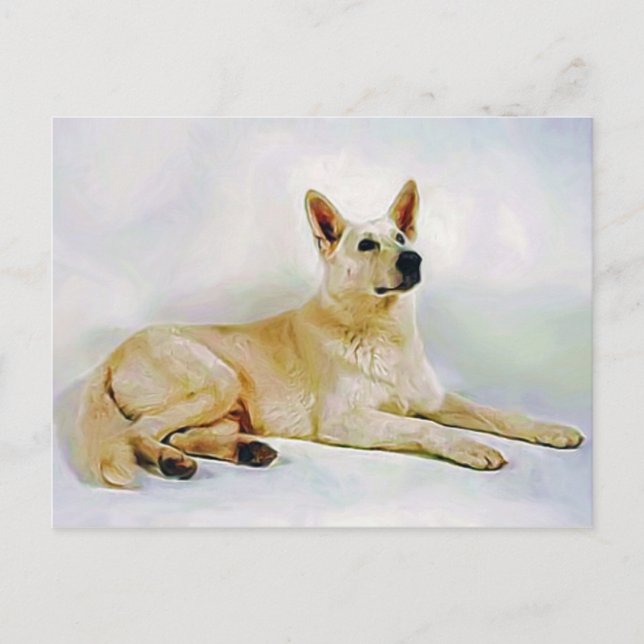 Cartão Postal German shepherd branco (Frente)