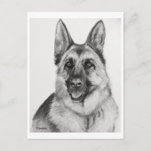 Cartão Postal german shepherd Fine Art