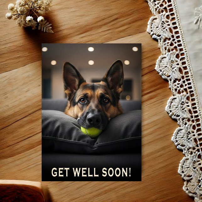Cartão Postal German Shepherd Get Well Postcard (Criador carregado)