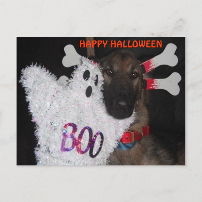 Cartão postal German shepherd Halloween Boo (Frente)