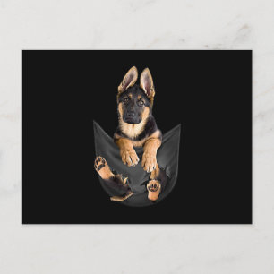 Cartão Postal German Shepherd In Pocket T-Shirt Funny Dog Lover