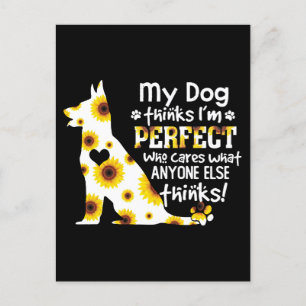 Cartão Postal German shepherd Meu Cachorro pensa que eu sou uma