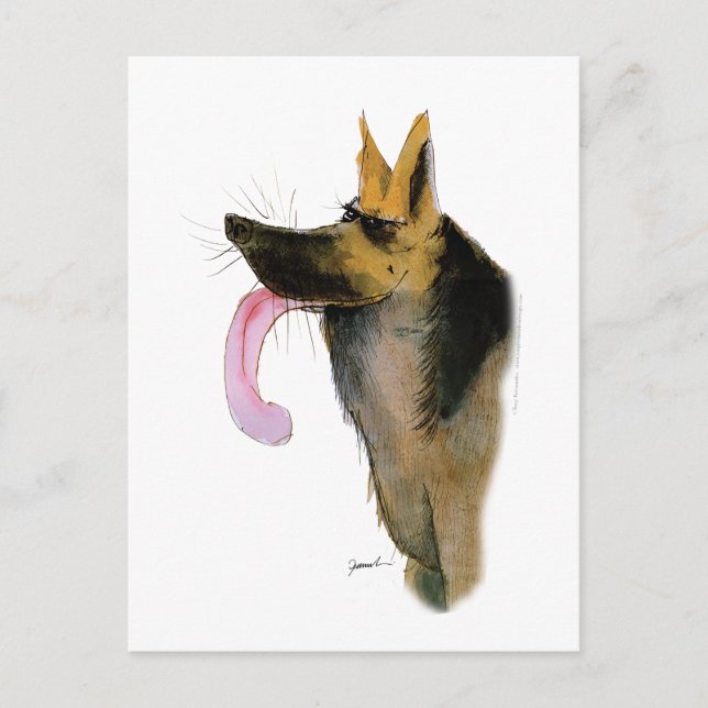 Cartão Postal German shepherd, tony fernandes (Frente)