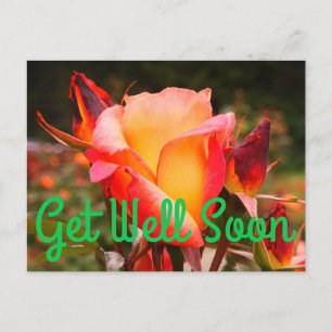 Cartão postal Get Well Soon Rainbow Sorbet Rose #1