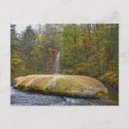 Cartão Postal Geyser Island Spouter, Primaveras Saratoga, Nova I