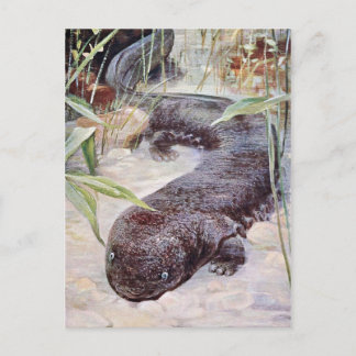 Cartão Postal Giant Salamander Art