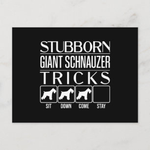 Cartão Postal Giant Schnauzer Gigante Stubborn Tricks, Giant Sch