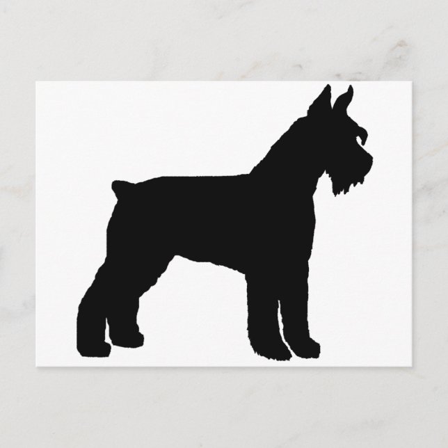 Cartão Postal Giant Schnauzer (preto) (Frente)