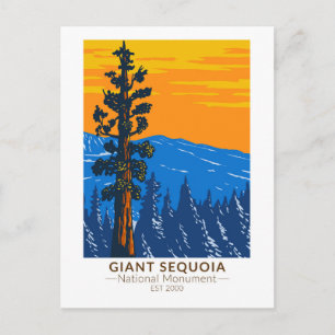Cartão Postal Giant Sequoia National Monument California Vintage