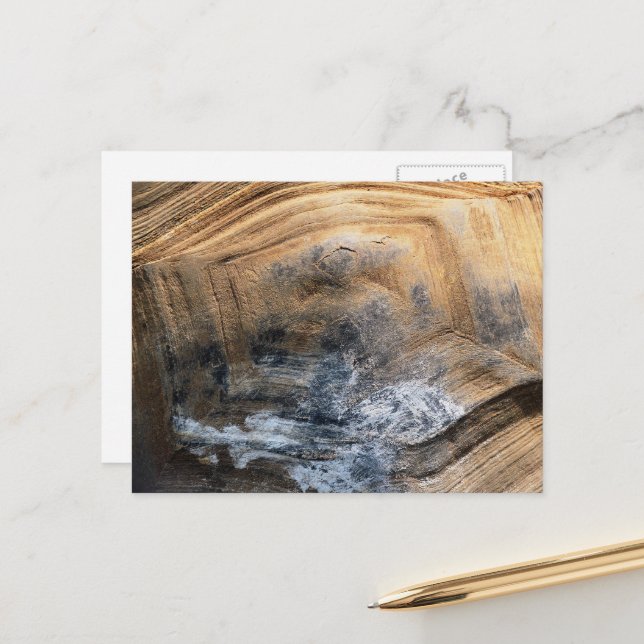 CARTÃO POSTAL GIANT TORTOISE SHELL (Frente/Verso In Situ)