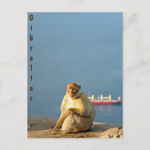 Cartão Postal Gibraltar Barbary