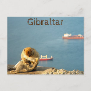 Cartão Postal Gibraltar Barbary