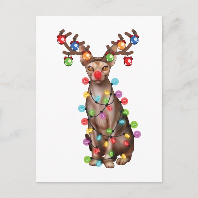 Cartão Postal Gift Ferioso de Natal Engraçado de Gato Sphynx Glu (Frente)