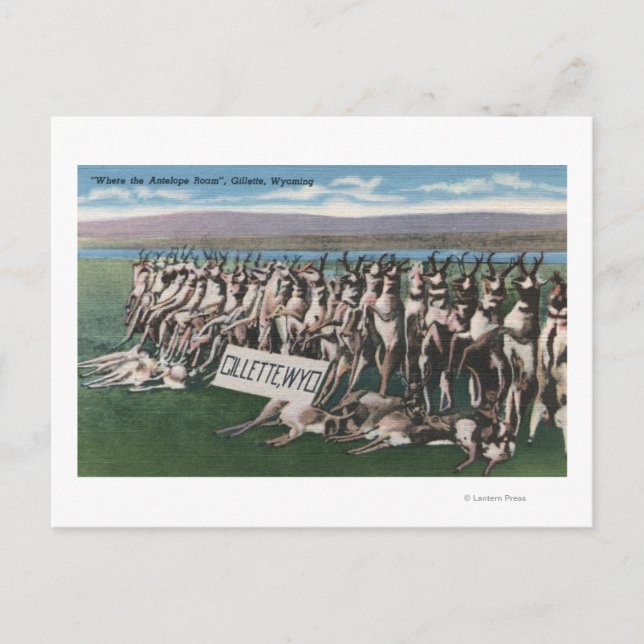 Cartão Postal Gillette, WY - Onde o Antelope Roam (Frente)
