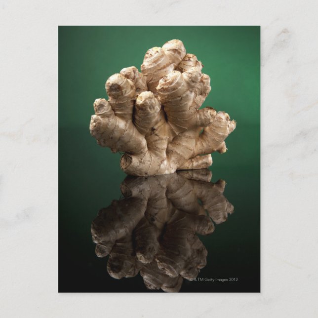 Cartão Postal Ginger (Frente)