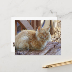 Cartão Postal Ginger George