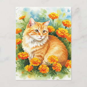 Cartão Postal Ginger Ginger Bonito com Cartão-Postal Marigold