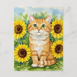 Cartão Postal Ginger Ginger Ginger em Cartão-postal de Girassóis