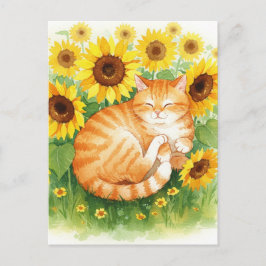 Cartão Postal Ginger Ginger Ginger em Cartão-postal de Girassóis