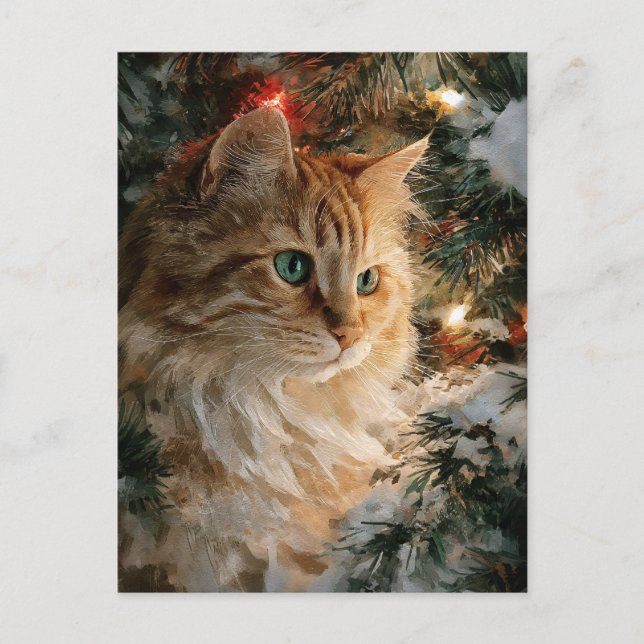 Cartão Postal Ginger Maine Coon Christmas (Frente)