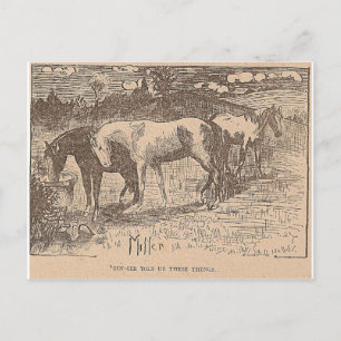 Cartão Postal Ginger Nos Disse Essas Coisas