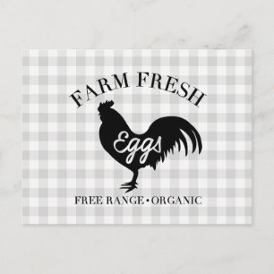 Cartão Postal Gingham, País de Frango Fresco fazenda