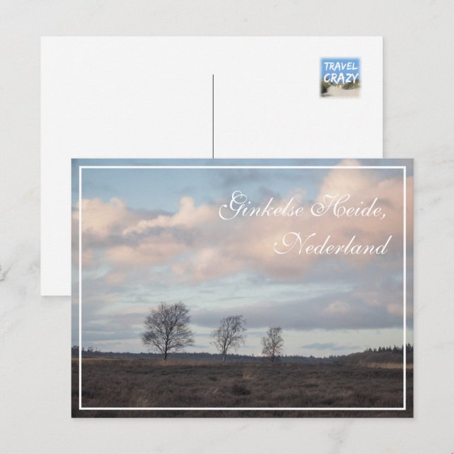 Cartão Postal Ginkel Heath, Ede, Paisagem Holandesa (Frente/Verso)