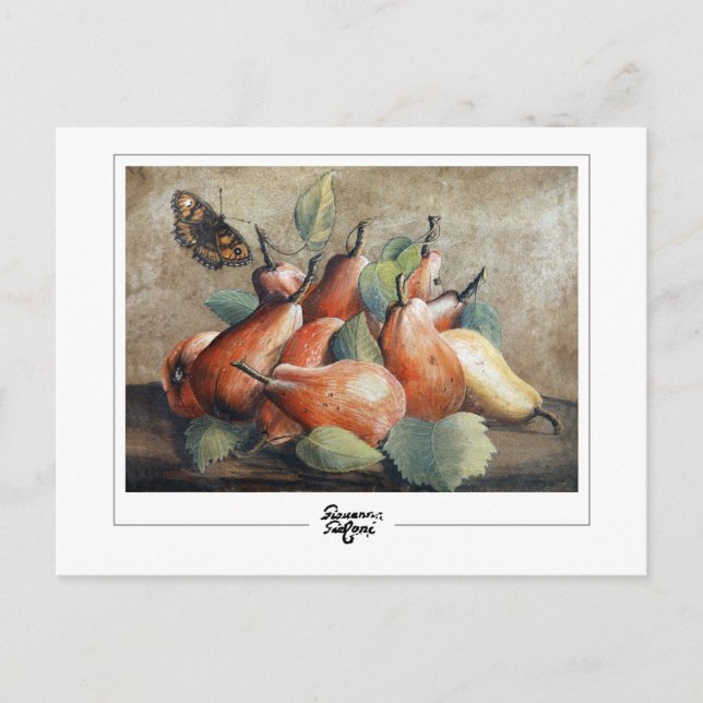 Cartão Postal Giovanna Garzoni #5 - Cartão-postal de arte (Frente)