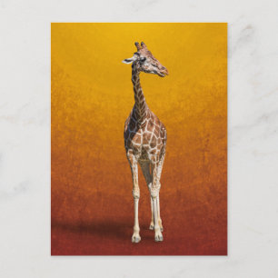 CARTÃO POSTAL GIRAFA