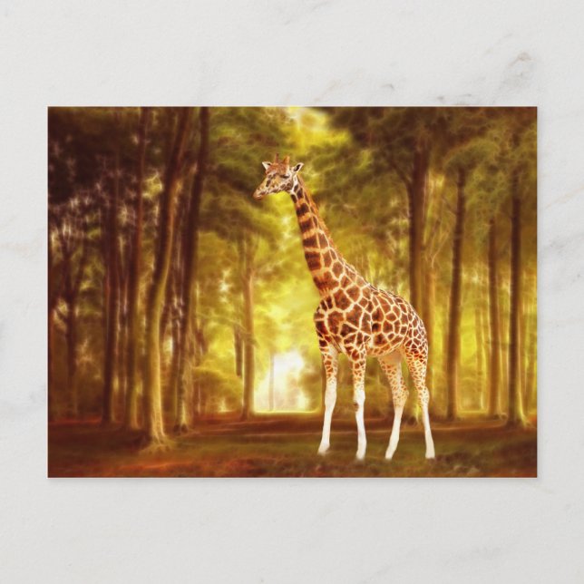 Cartão Postal Girafa (Frente)