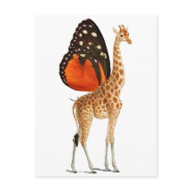 Girafa-das-asas-borboletas