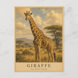 Cartão Postal Girafa Savana da África Oriental VINTAGE