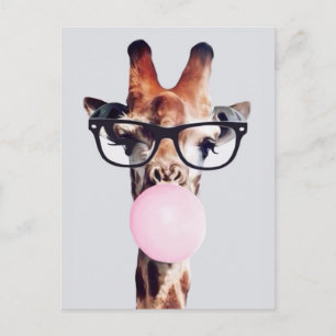 Cartão Postal Girafa Usando Óculos Sopra Chiclete Rosa