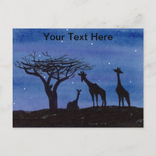 Cartão Postal Girafas