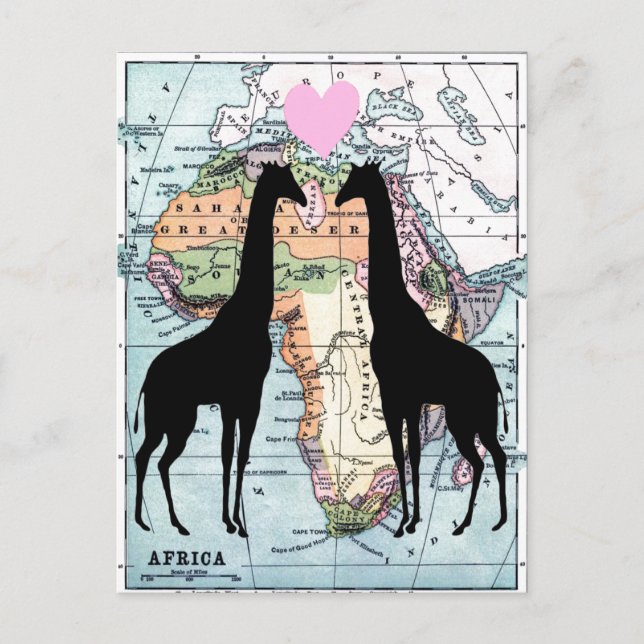 Cartão Postal Girafas apaixonadas (Frente)