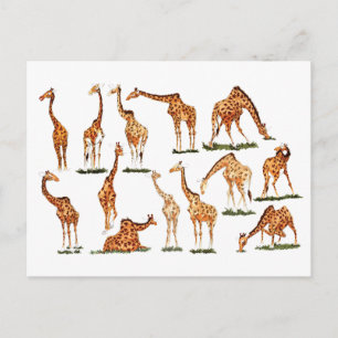 CARTÃO POSTAL "GIRAFFE"