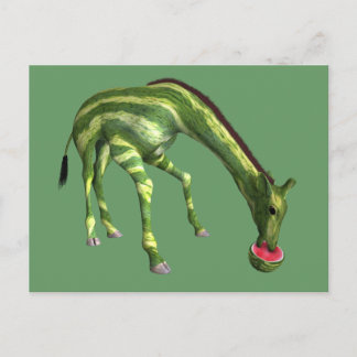 Cartão Postal Giraffe comendo melancia