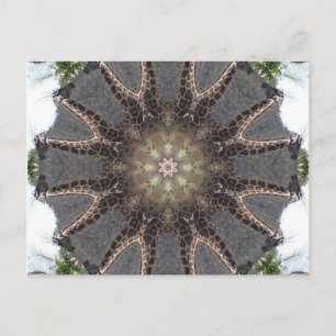 Cartão Postal Giraffe Mandala