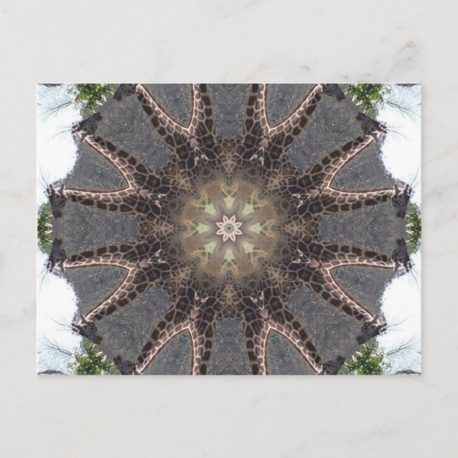 Cartão Postal Giraffe Mandala (Frente)