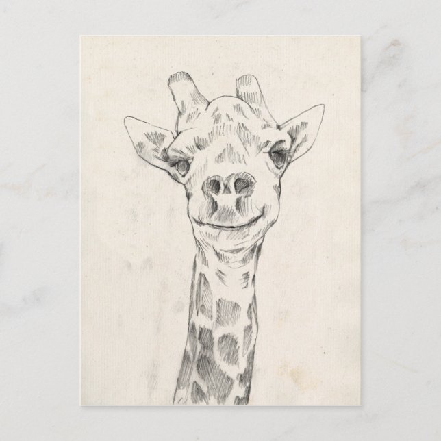 Cartão Postal Giraffe Portrait Sketch (Frente)