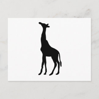 Cartão Postal Giraffe Silhouette