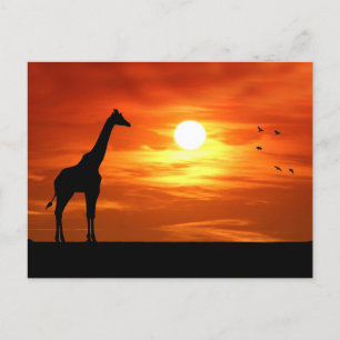 Cartão Postal Giraffe Silhouette ao Sunset