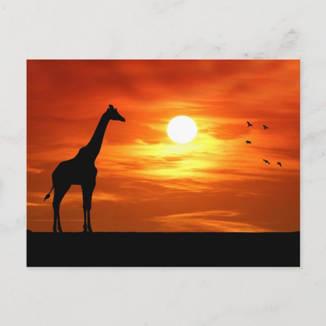 Cartão Postal Giraffe Silhouette ao Sunset (Frente)