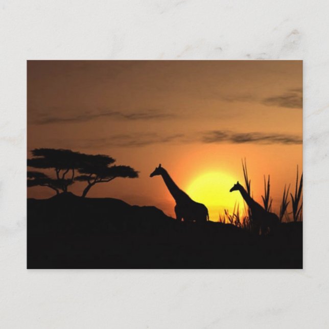 Cartão Postal Giraffe Silhouette - Vazio para sua própria mensag (Frente)