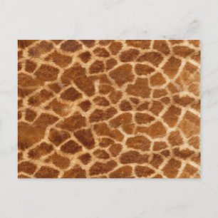Cartão Postal Giraffe Skin