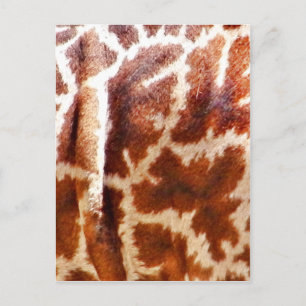 Cartão Postal Giraffe Skin_
