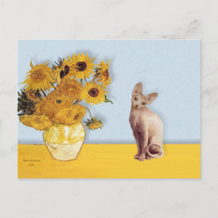 Cartão Postal Girasóis - gato Sphyx Creme