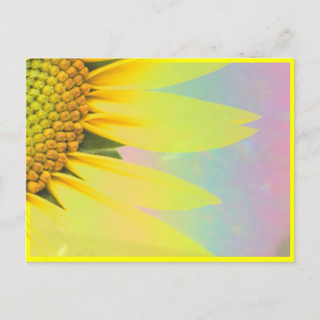 Cartão Postal Girassóis da primavera (Frente)