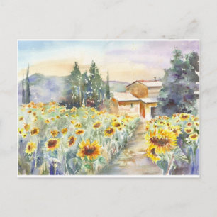 Cartão Postal Girassóis Em Proveniência