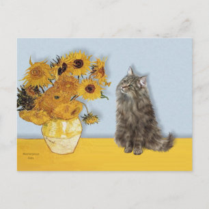 Cartão Postal Girassóis - gato Norwegian Forest